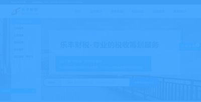 河南樂(lè )豐財稅服務(wù)有限公司